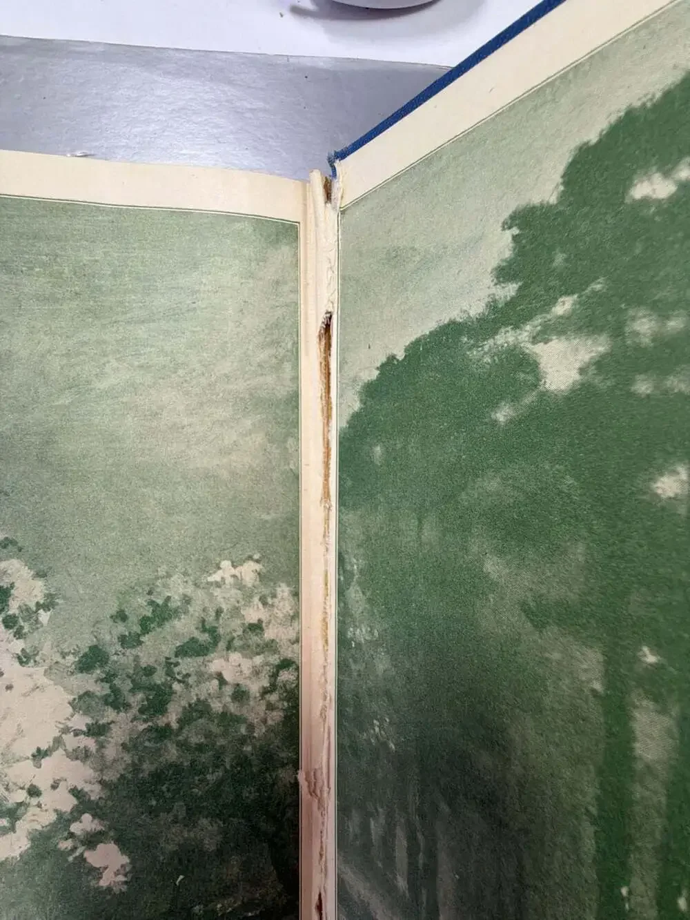 The‎ Girl's Own Annual Volume 51 (1931) Edited by Flora Klickmann
